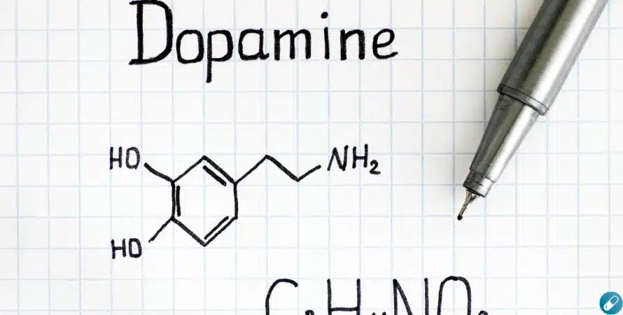 ginkgo biloba verhoogt dopamine