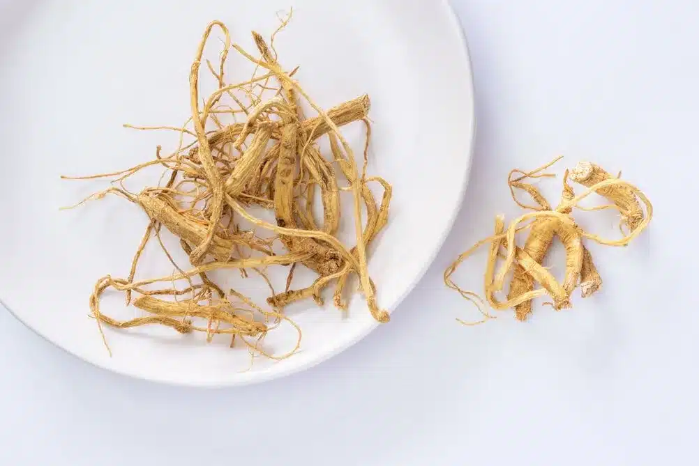 radix ginseng erectiepillennl